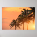 Suche nach gulf coast poster Ocean