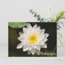 Suche nach lotus einladungen Rosa