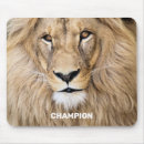 Recherche de grands chats tapis souris Lion