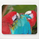 Suche nach roter papagei mousepads Blau