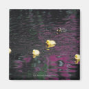 Suche nach entlein magnete Natur