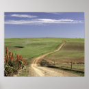 Suche nach western poster Blume