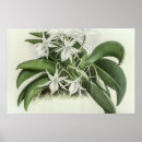 Recherche de biology posters Nature