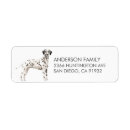 Recherche de dalmation Chien