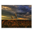 Recherche de hdr art Nature