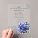 Suche nach blauer cornflower Couple