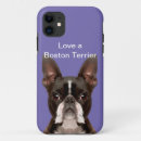 Recherche de amour boston Chien