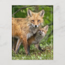 Suche nach nachkommen postkarten Vater