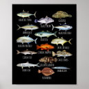 Suche nach salzwasserfischen poster Köder