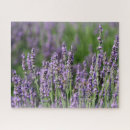 Suche nach honigbiene puzzle Bestäubung