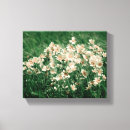 Suche nach romantische blumen leinwandbilder Liebe