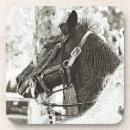 Recherche de original dessous de verres Photographie