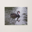 Suche nach schwarzer schwan puzzle Rätsel