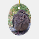 Suche nach vogelschmuck Vögel