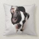 Recherche de image de couleur coussins Animal