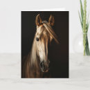 Recherche de chevaux photographie Cheval