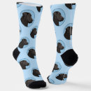 Recherche de labrador slippers Dog