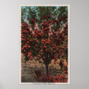 Suche nach wengen poster Tal