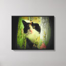 Suche nach curtain poster Vorhang