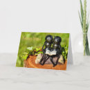 Recherche de fourmis vœux cartes Mignonette