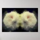 Recherche de com art Rose