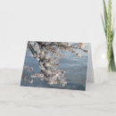 Suche nach cherry blossom karten Sakura