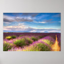 Recherche de la provence posters Champs