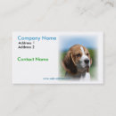 Recherche de beagles cartes visite Animal