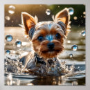 Recherche de toilettage posters Baignoire