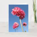 Suche nach winkel karten Blume