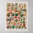 Suche nach obst und gemüse poster Vegan