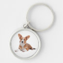 Suche nach waliser schlüsselanhänger Corgi