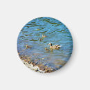 Suche nach niedliche ente magnete Enten