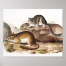 Suche nach maus poster Vintage