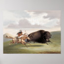 Recherche de bison posters États unis