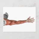 Suche nach menschlicher arm poster postkarten Waffen