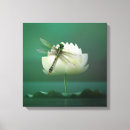 Suche nach libellen poster leinwandbilder Insekten