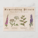 Suche nach belladonna poster Blume