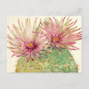 Suche nach kaktus postkarten Blume