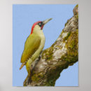 Recherche de vert posters Arbre
