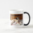 Recherche de bullmastiff tasses Chiot