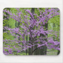 Suche nach heller frühling mousepads Landschaft