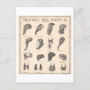 Recherche de théâtre vintage cartes postales Costume