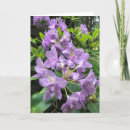 Recherche de rhododendron vœux cartes Violet