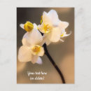 Recherche de orchidée jaune vœux cartes Floral