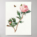 Recherche de abeilles vintages posters Insecte