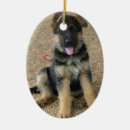 Recherche de chiot de berger allemand ornements Chien