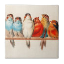 Suche nach sitz fliesen Vögel