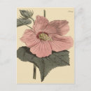 Recherche de marais cartes postales Floral