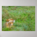 Recherche de mère nature posters Faune